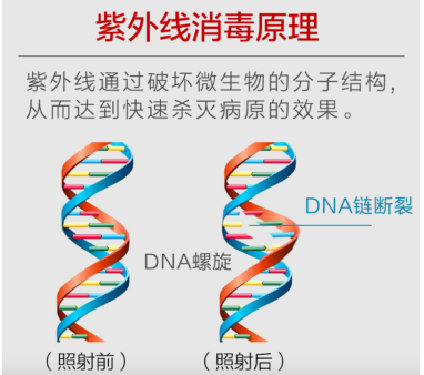 1600748467129559.png image.png